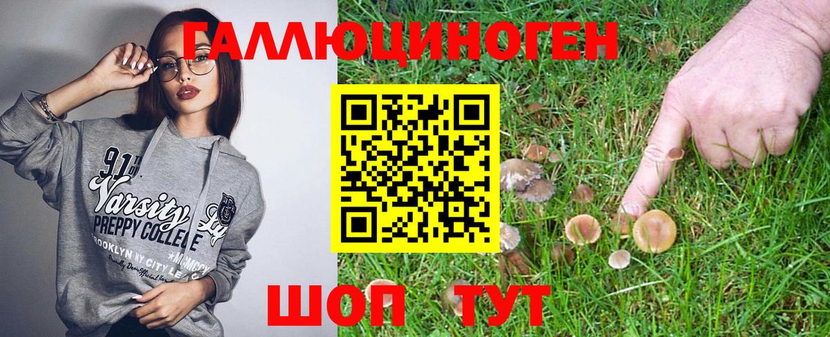 Ижевск  Псилоцибиновые грибы Magic Shrooms  Вход с VPN 